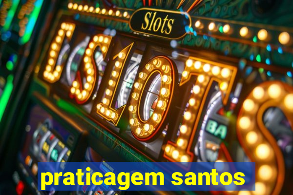 praticagem santos